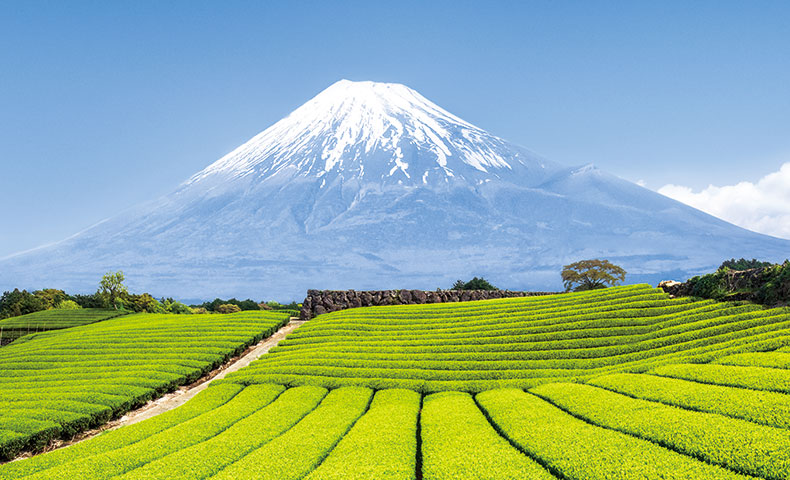 富士山