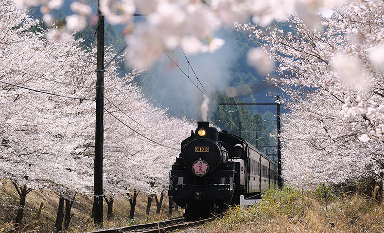 大井川鐵道