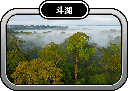斗湖