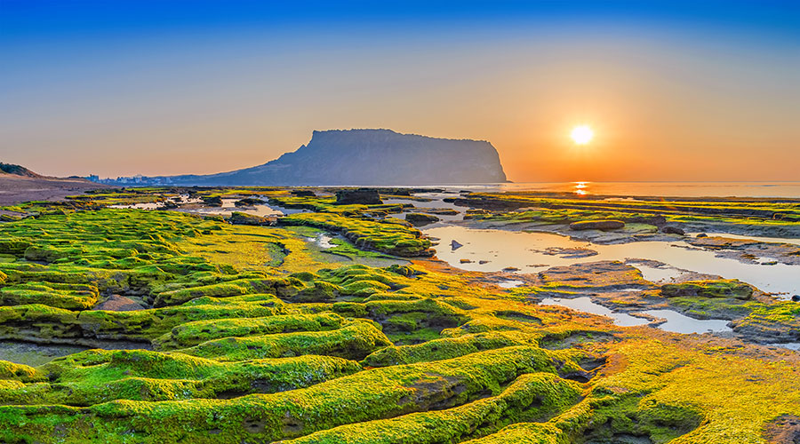 濟州島 韓劇熱門取景度假島